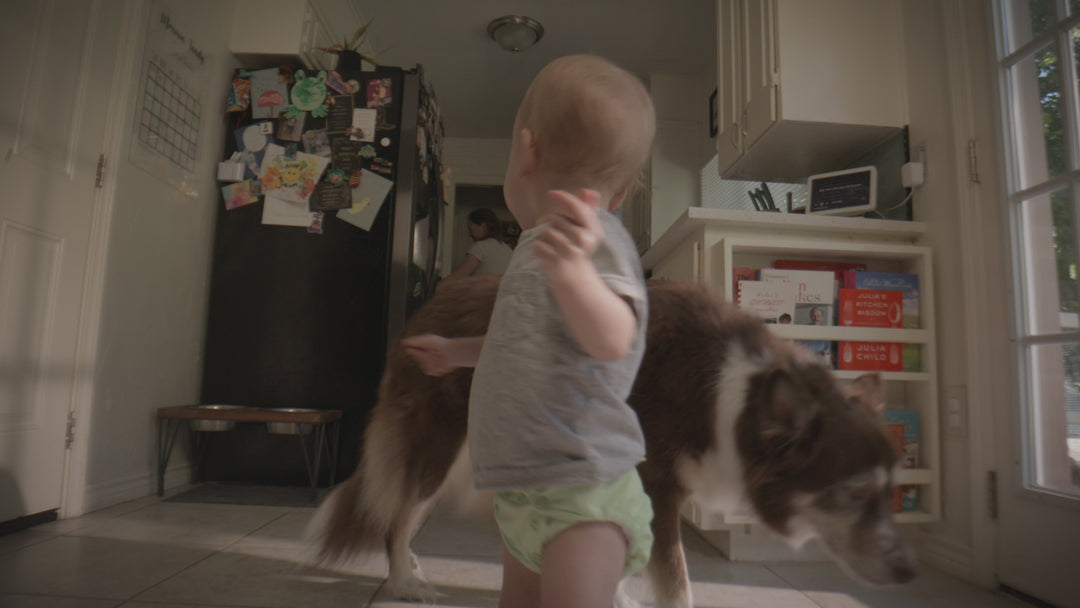 Wholesome Diaper Spot 1-3.mp4__PID:e6fd44b5-c206-48d0-82b1-58d24a67f68b